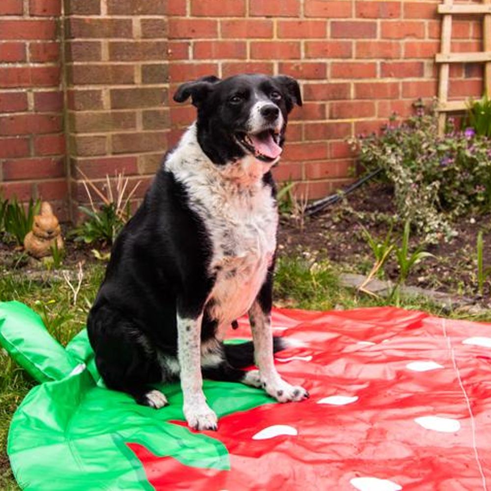 Strawberry Splash Mat
