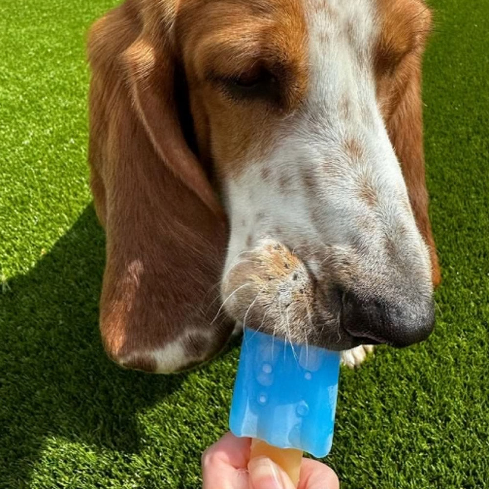 Small Bite Ice Teether Freezable Cooling Toy for Puppies