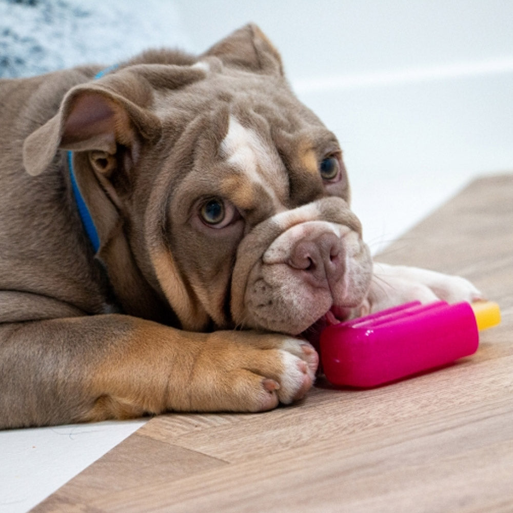 Small Bite Ice Teether Freezable Cooling Toy for Puppies