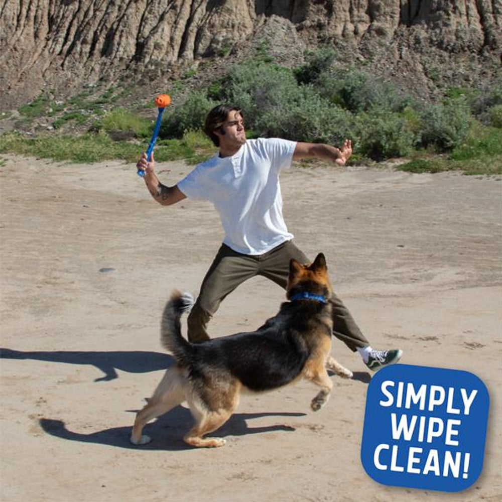 Fitdog Rugby Ball Throw Toy