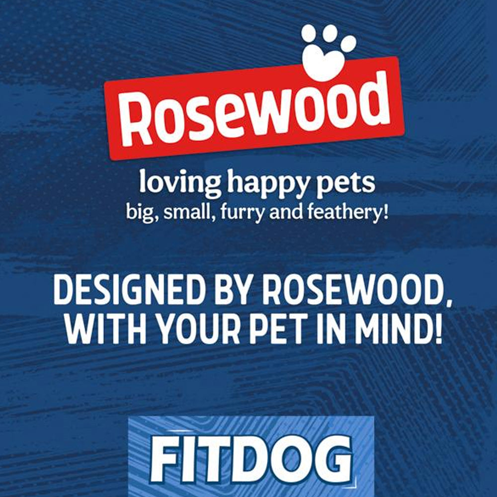 Fitdog Spikey Ball Throw Toy