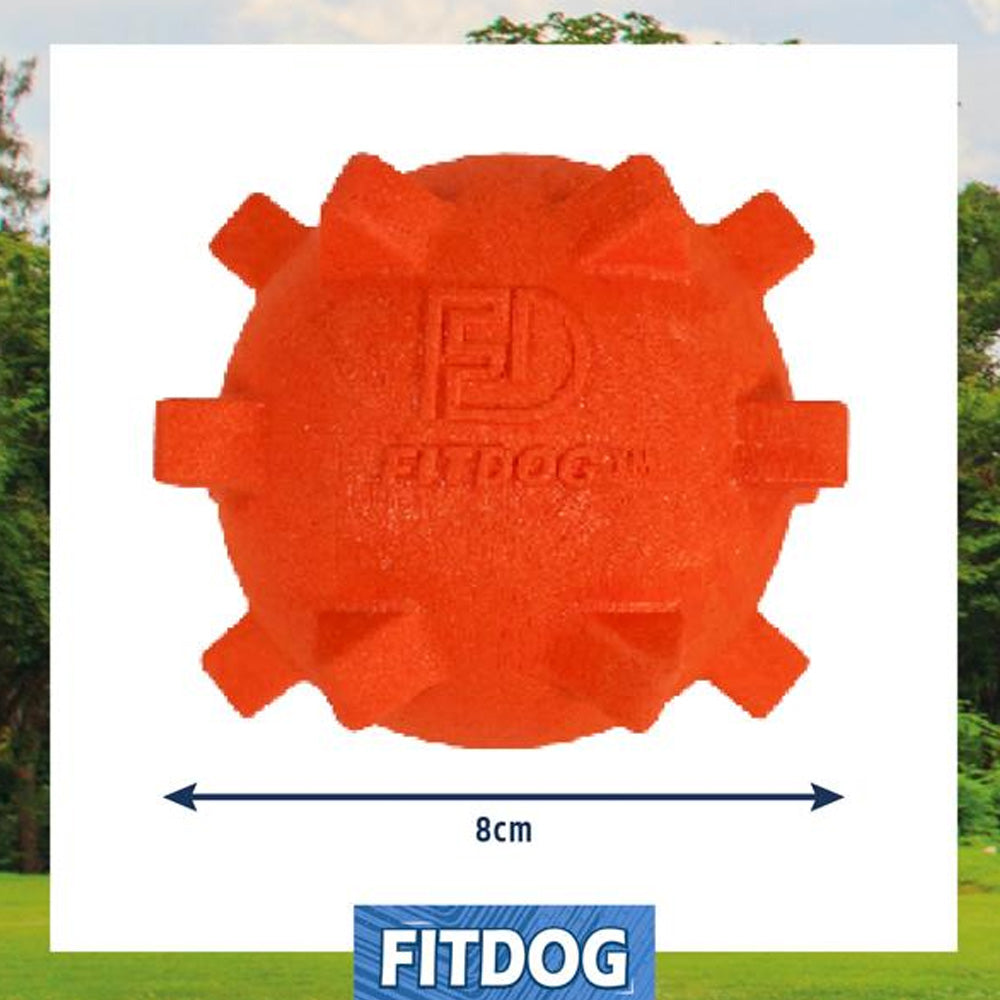 Fitdog Spikey Ball Throw Toy