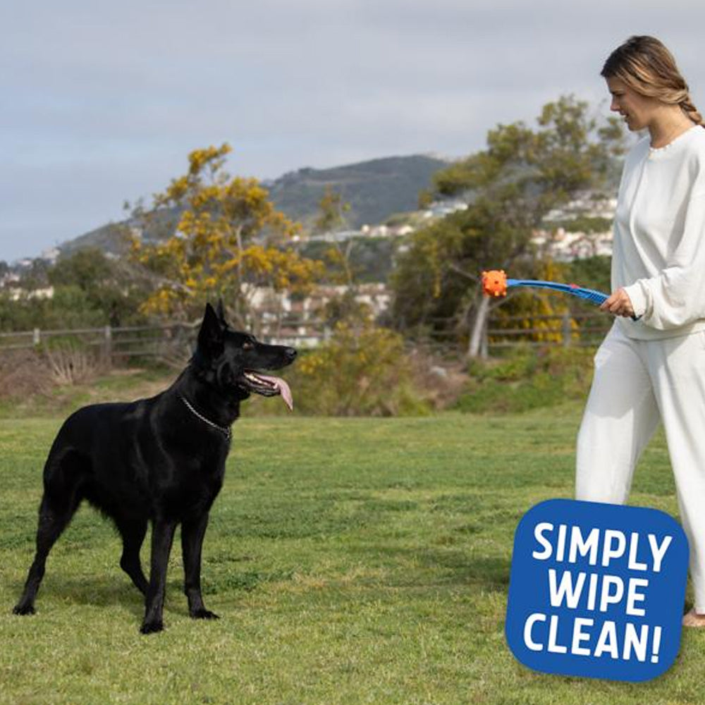 Fitdog Spikey Ball Throw Toy