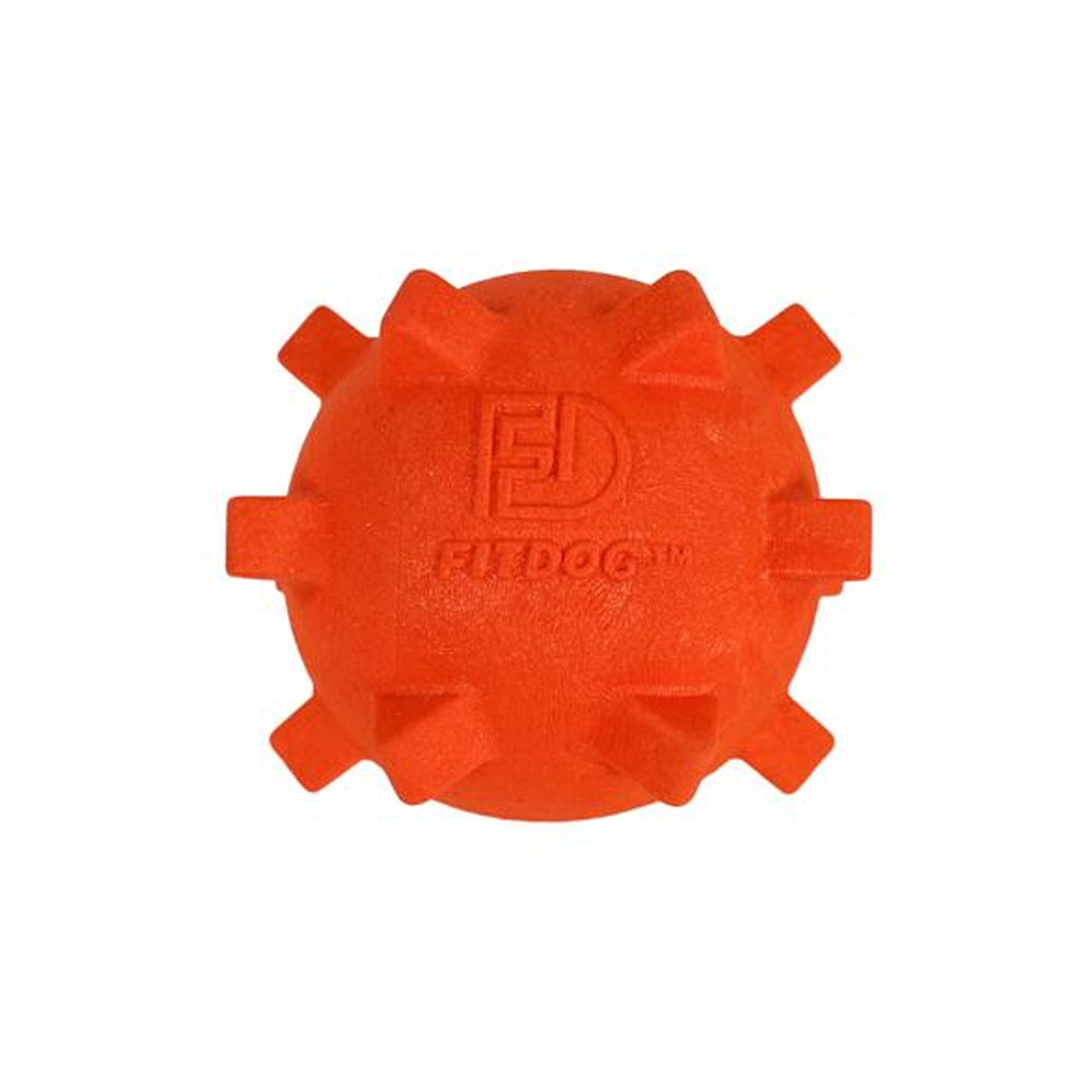 Fitdog Spikey Ball Throw Toy