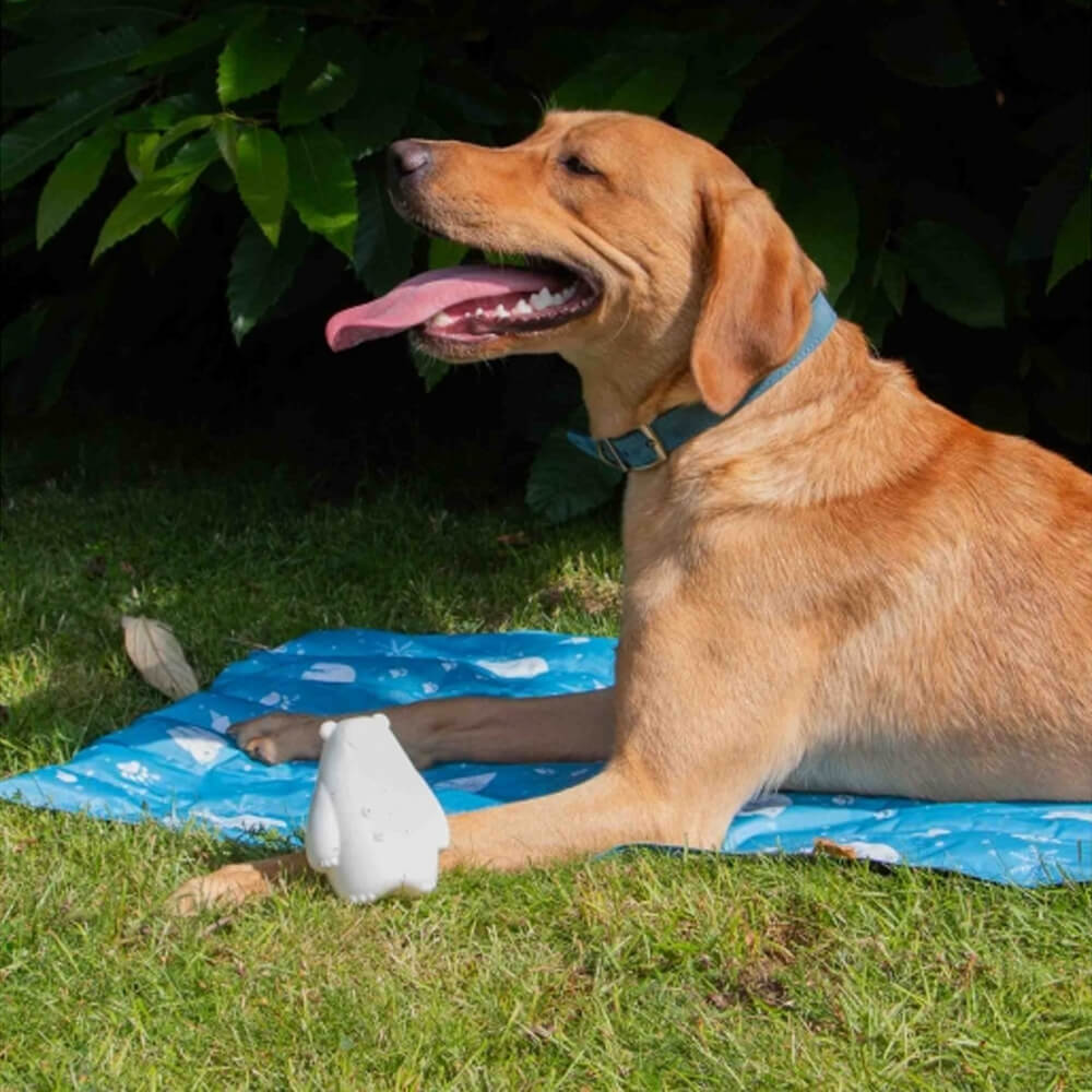 Ice Paws Olwen Ice Bear Freezable Cooling Dog Toy