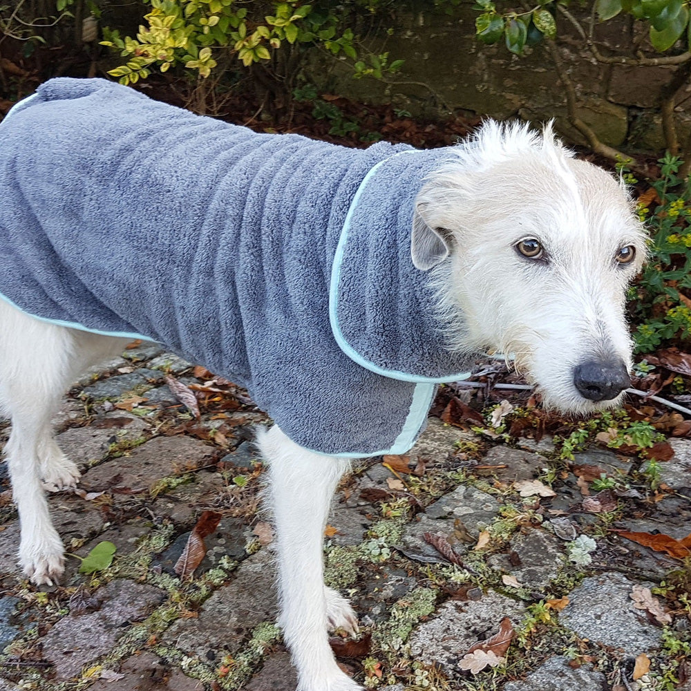Henry Wag Microfibre Dog Drying Coat