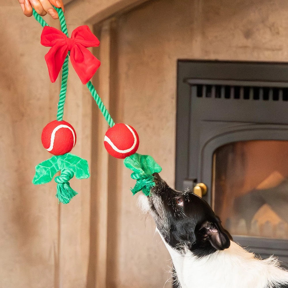 Holly Jolly Rope Toy