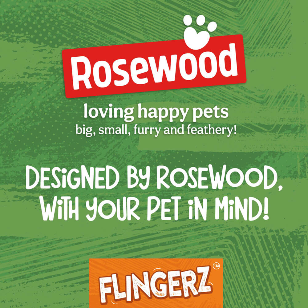 Ladybird Flingerz Throw Toy