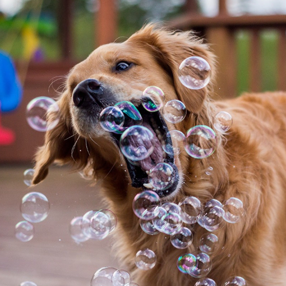 Dog bubbles on sale