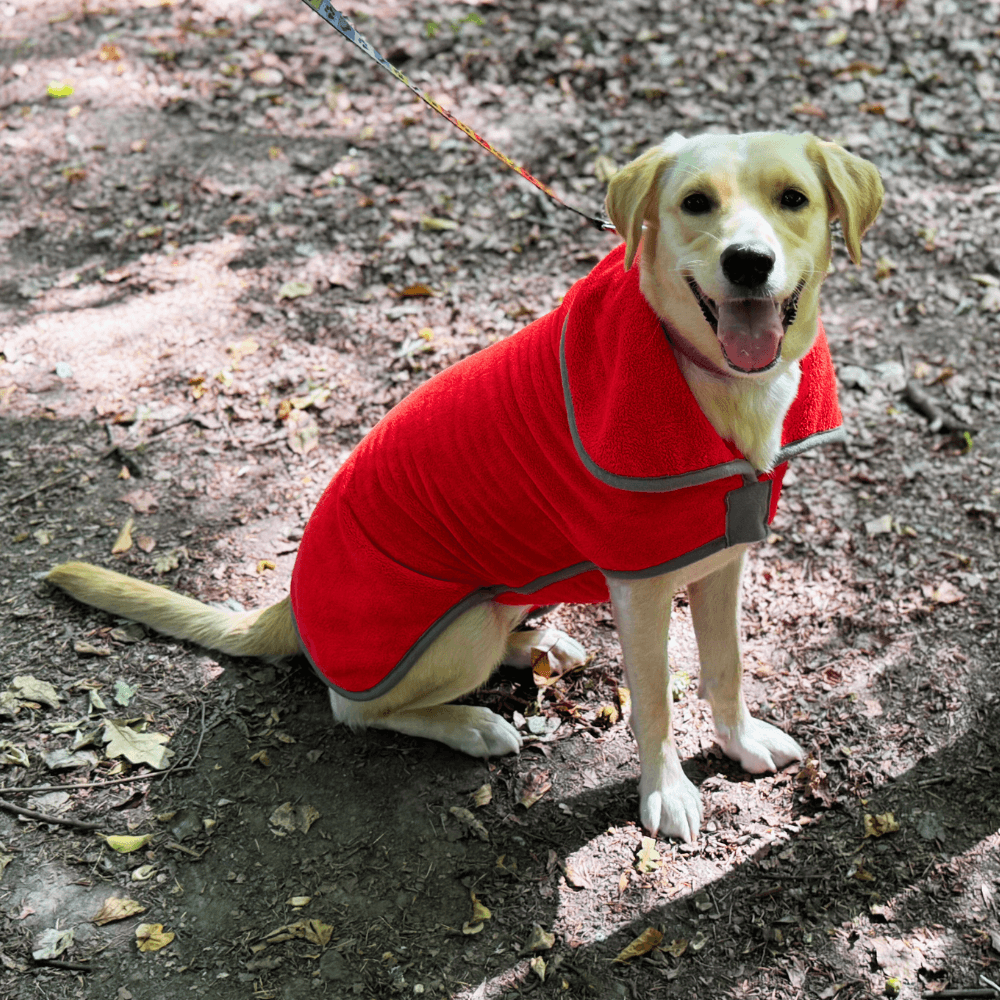 Henry Wag Microfibre Dog Drying Coat - RED