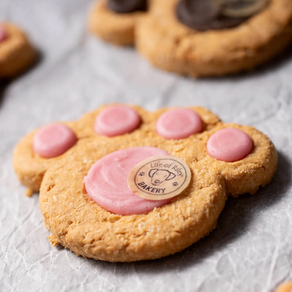 Paw 🐾 Print Individual Cookies