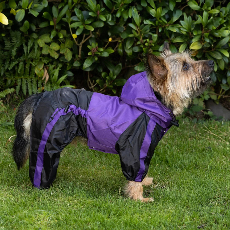 Waterproof Dog Coats UK Dog Coat Specialists Treat Your Dog