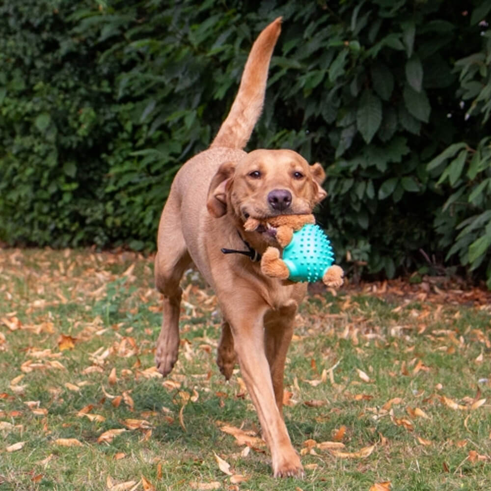 Orva Rabbit Ball Belly