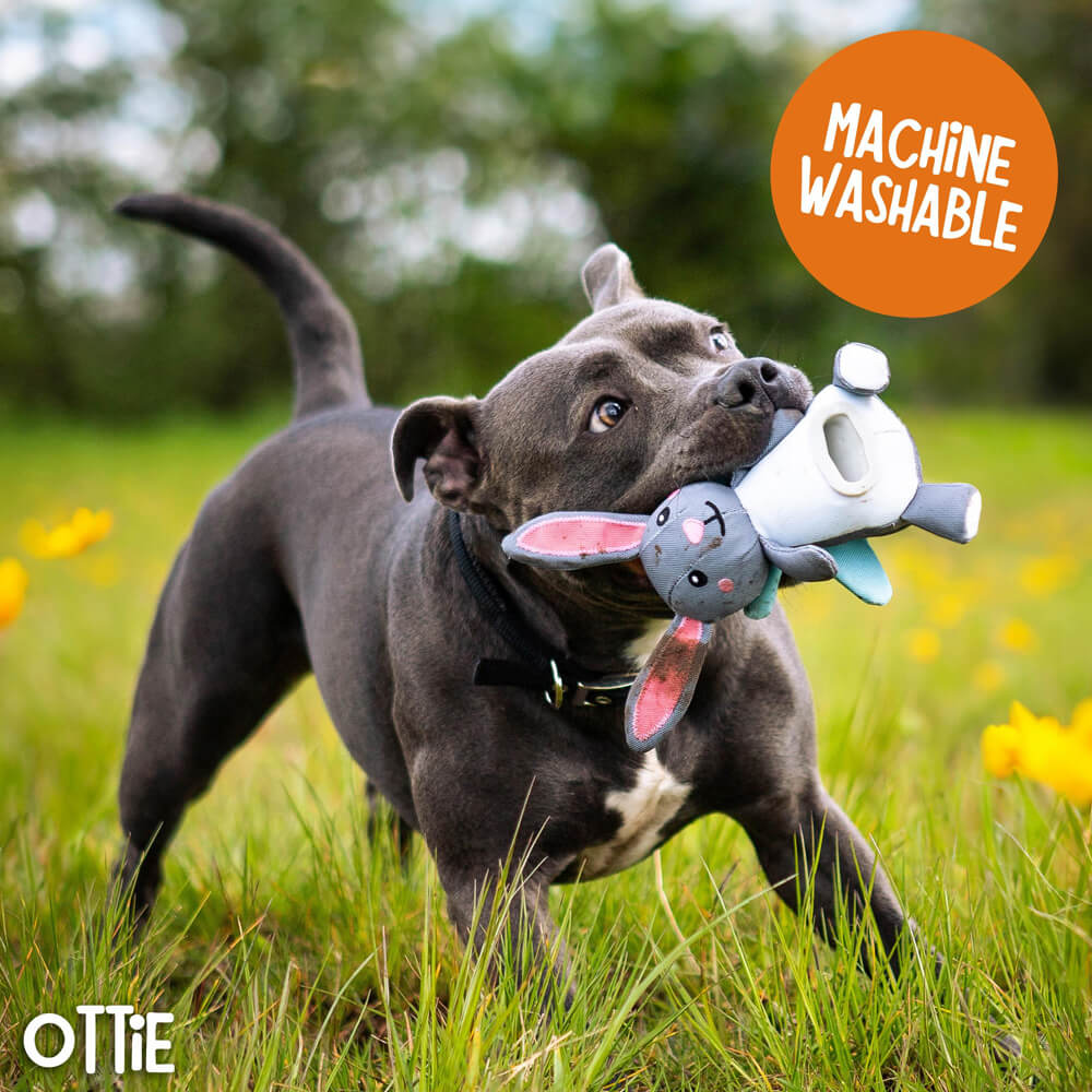 Rabbit Flingerz Throw Toy