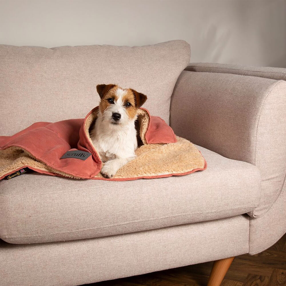 Scruffs Snuggle Blanket -  Terracotta