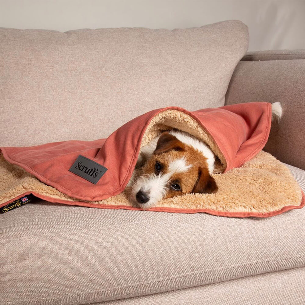 Scruffs Snuggle Blanket -  Terracotta