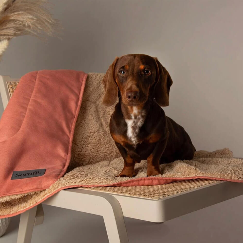 Scruffs Snuggle Blanket -  Terracotta