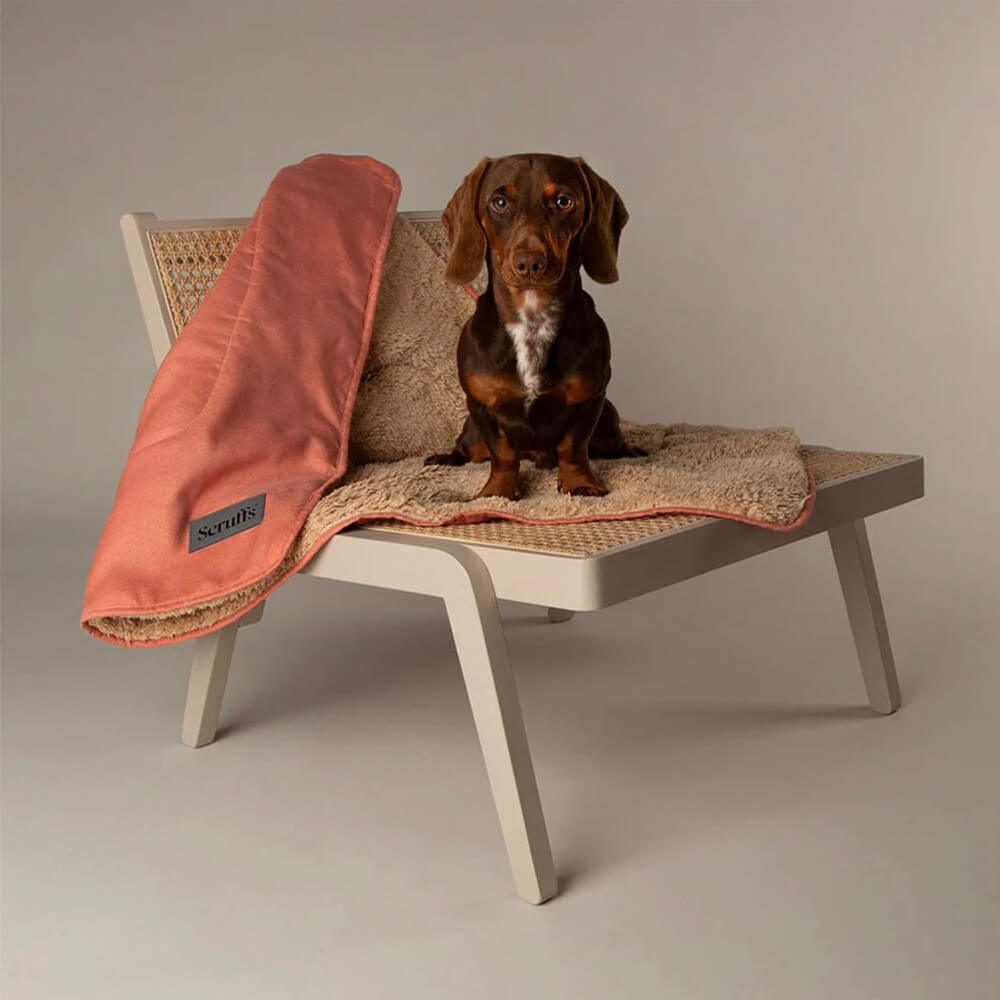 Scruffs Snuggle Blanket -  Terracotta
