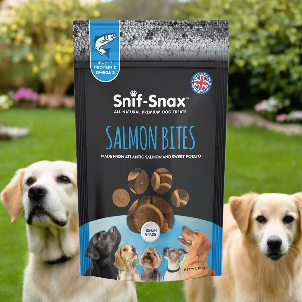 Snif-Snax Salmon Bites — Treat Your Dog