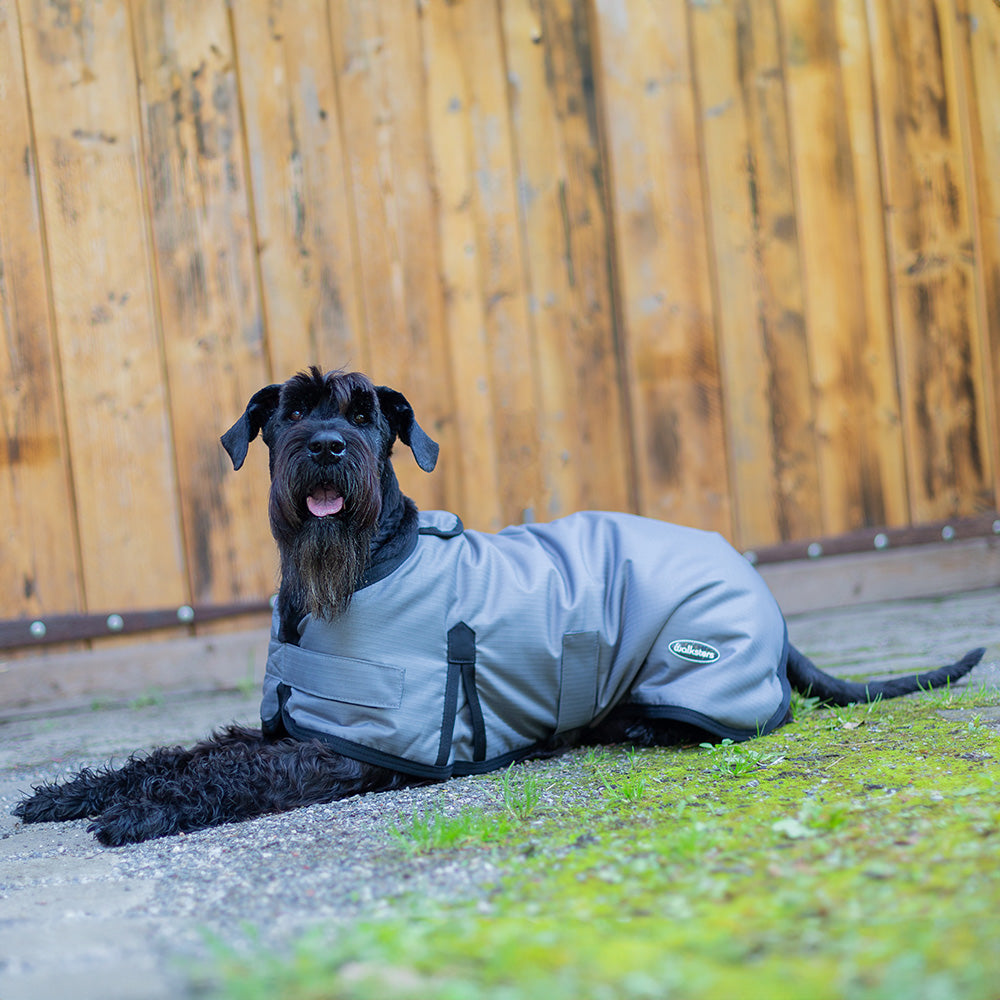 All Seasons Waterproof Dog Coat in Grey