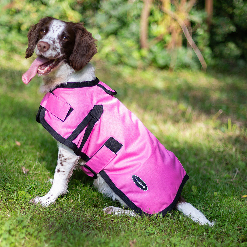 All Seasons Waterproof Dog Coat in Pink