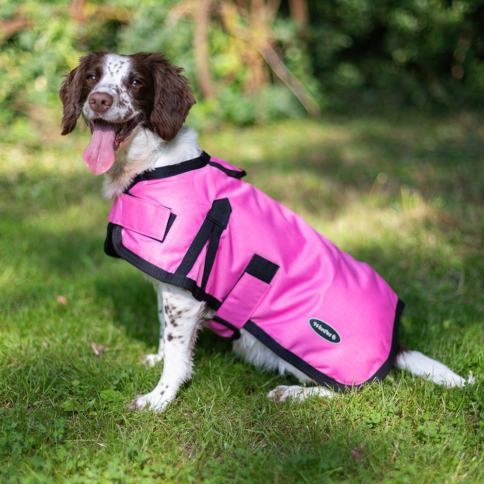 Waterproof Dog Coats UK Dog Coat Specialists Treat Your Dog