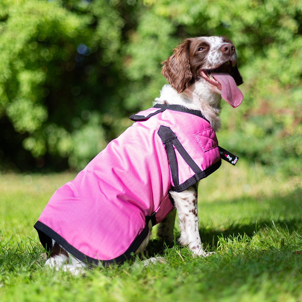 All Seasons Waterproof Dog Coat in Pink