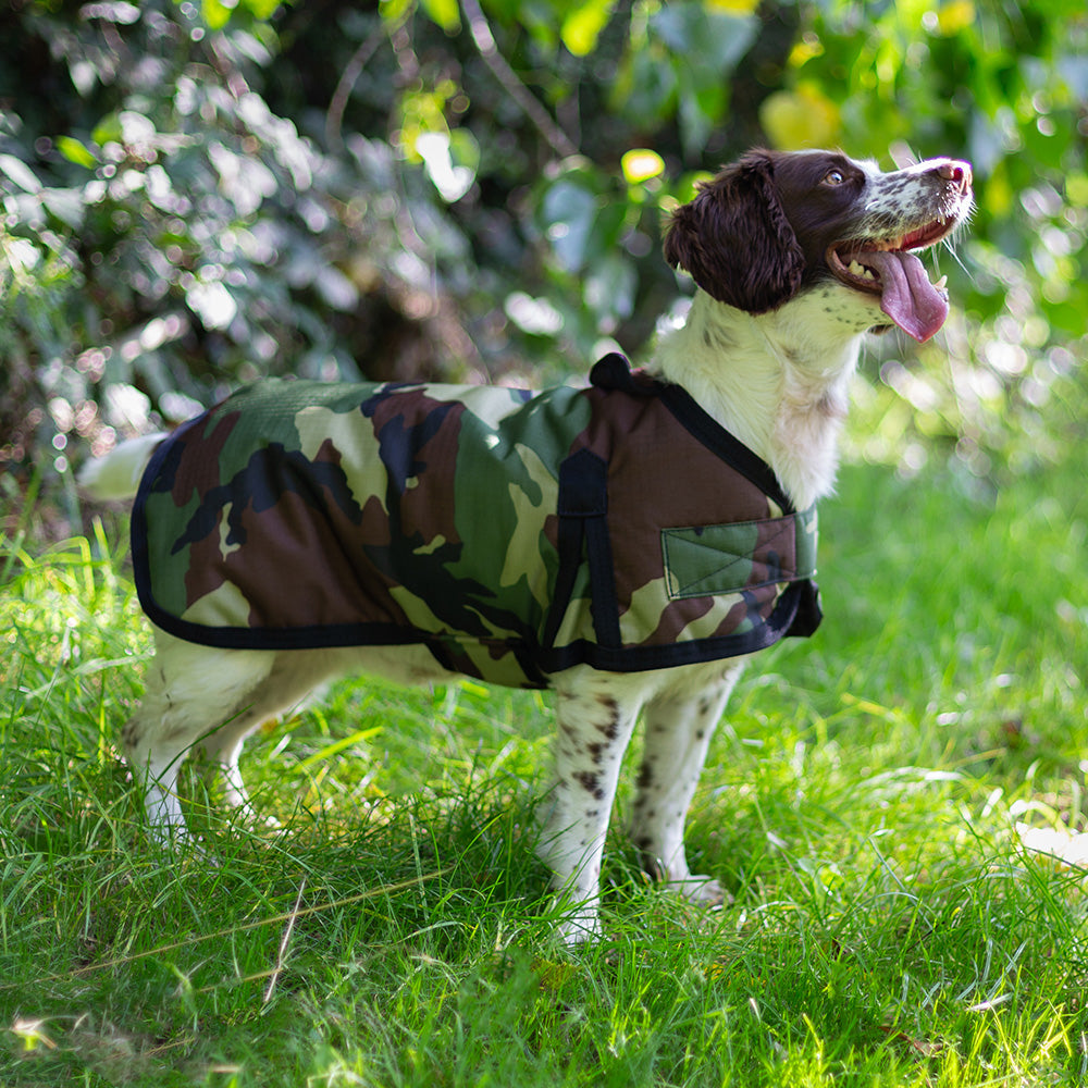 All Seasons Waterproof Dog Coat in Camouflage