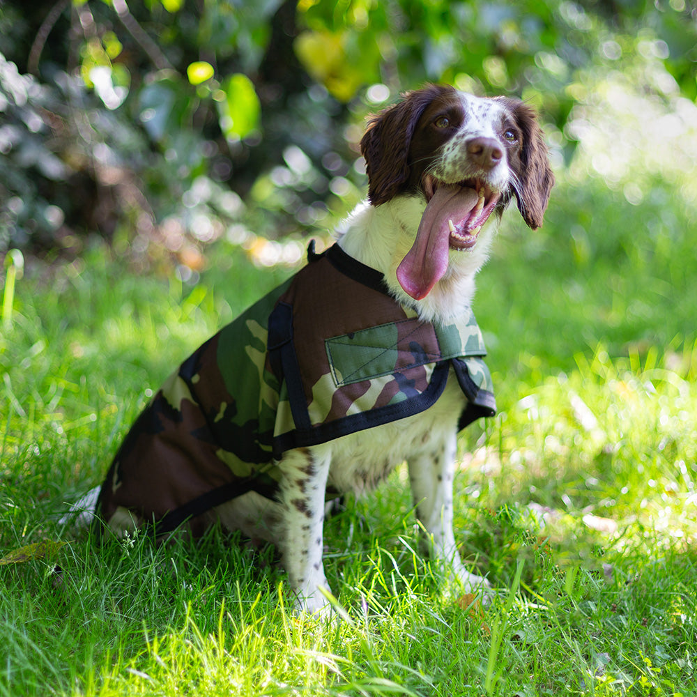 All Seasons Waterproof Dog Coat in Camouflage