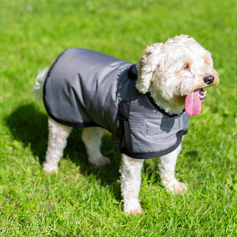 All Seasons Waterproof Dog Coat in Grey