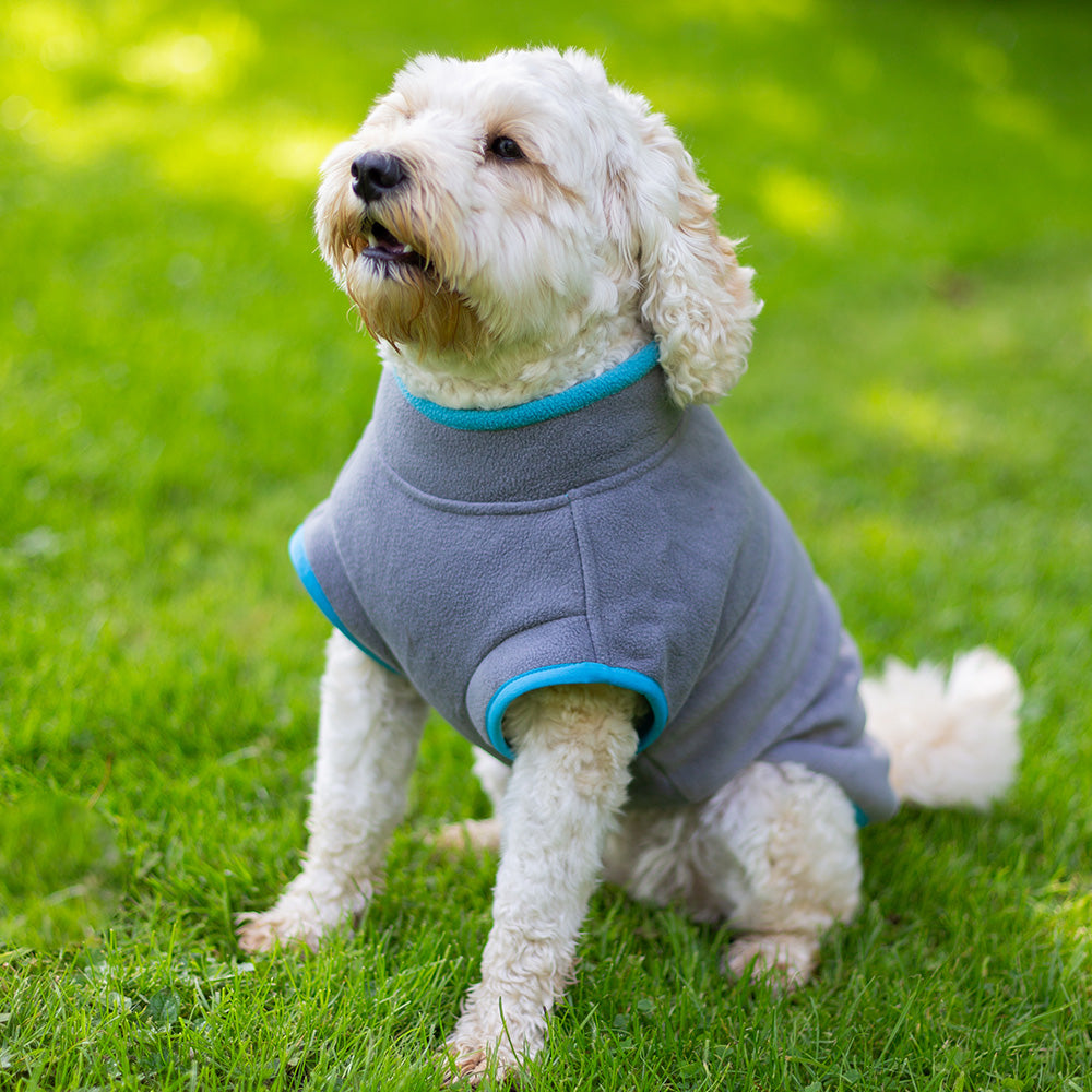 Walksters Dog Fleece Jumper in Grey