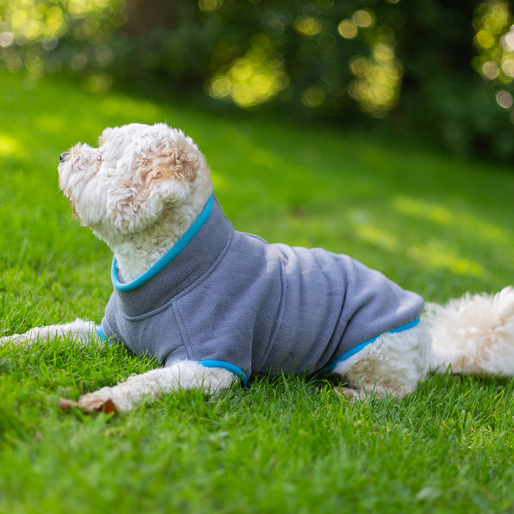 Walksters Dog Fleece Jumper in Grey