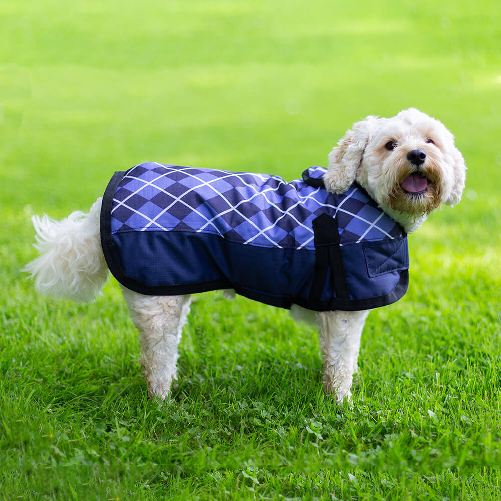 All Seasons Waterproof Dog Coat in Blue Check