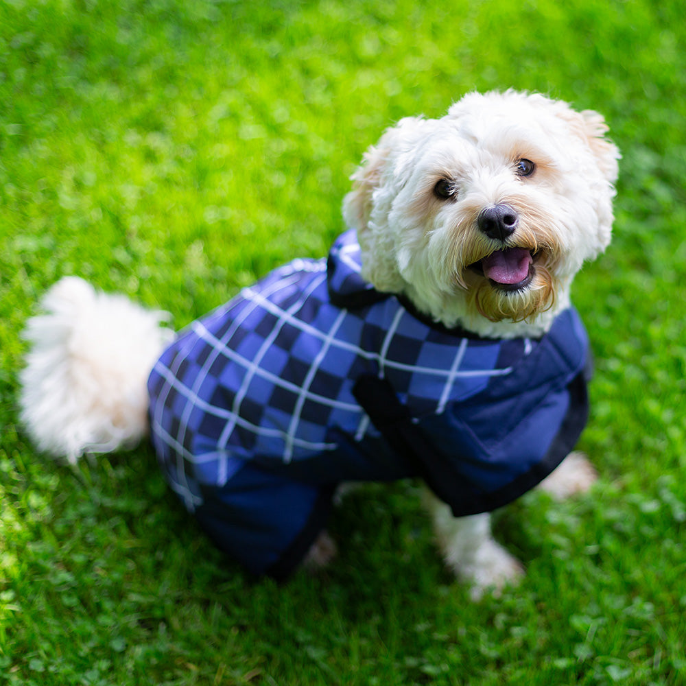 All Seasons Waterproof Dog Coat in Blue Check