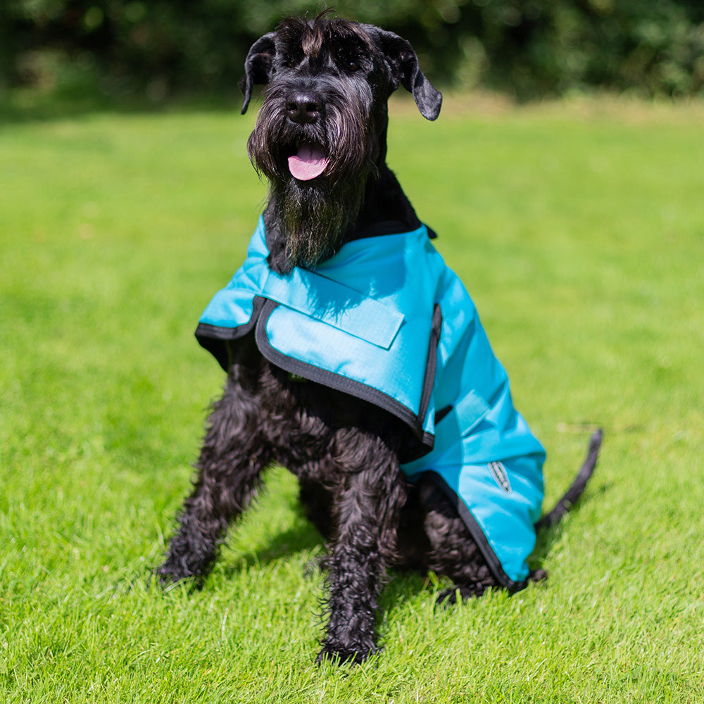 All Seasons Waterproof Dog Coat in Turquoise Blue