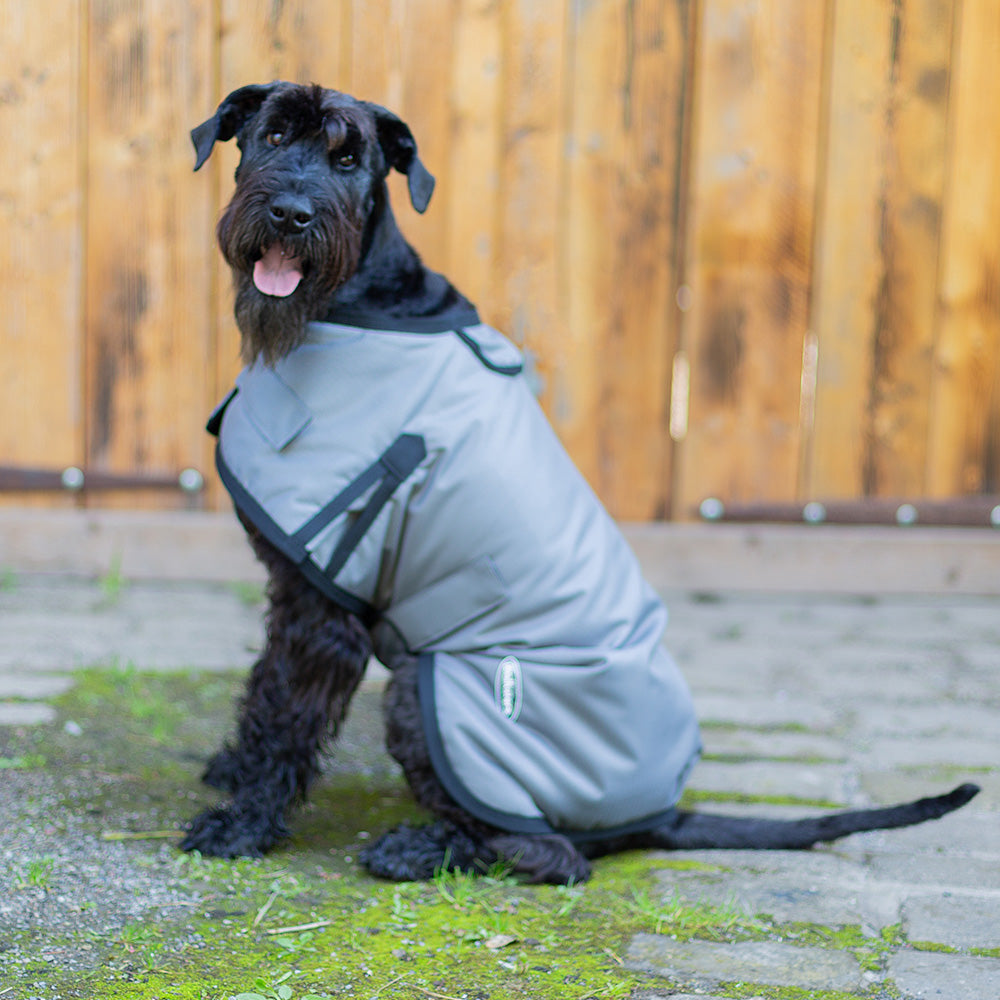 All Seasons Waterproof Dog Coat in Grey