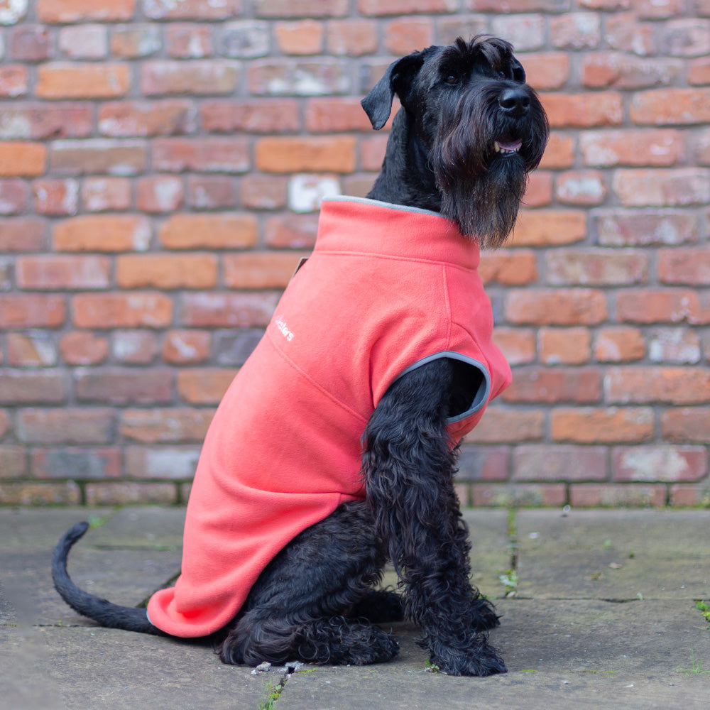 Walksters Dog Fleece Jumper in Soft Orange