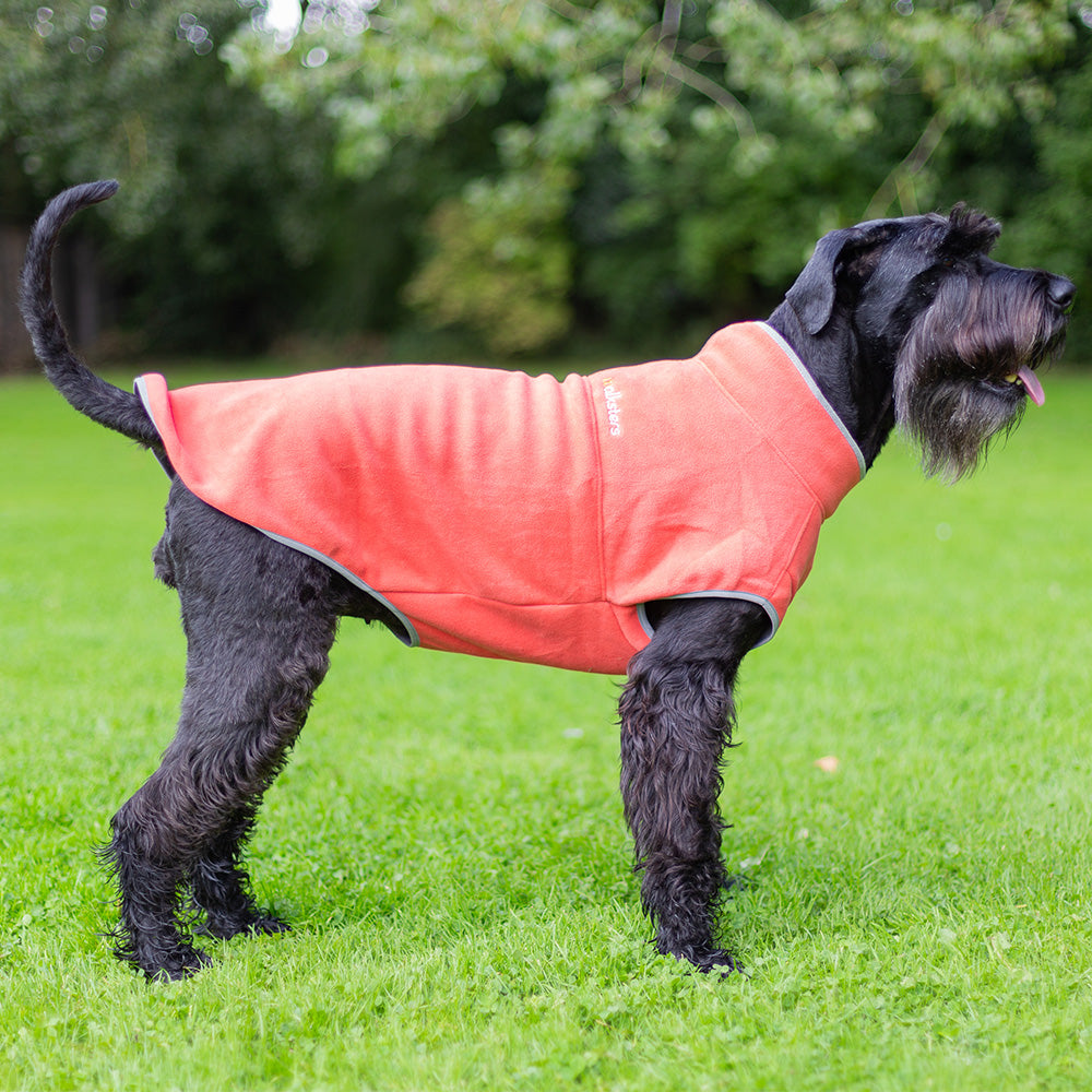 Walksters Dog Fleece Jumper in Soft Orange