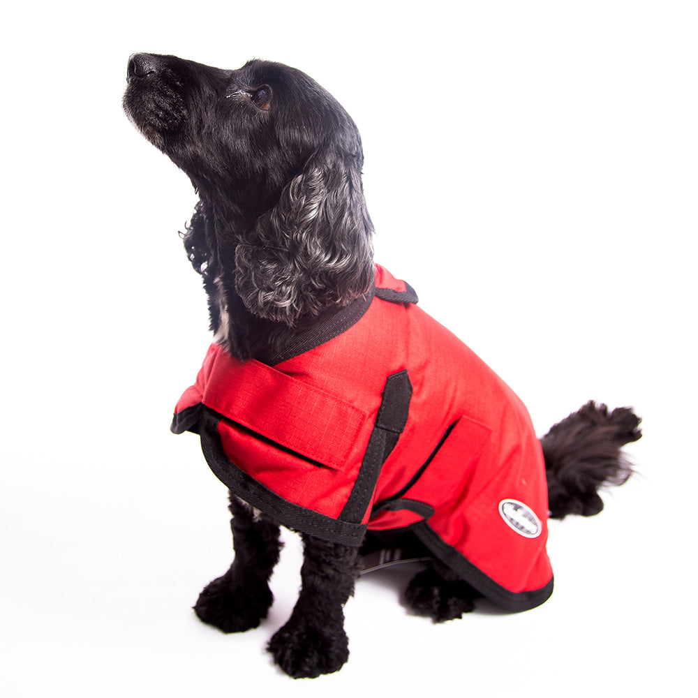 All Seasons Waterproof Dog Coat in Red