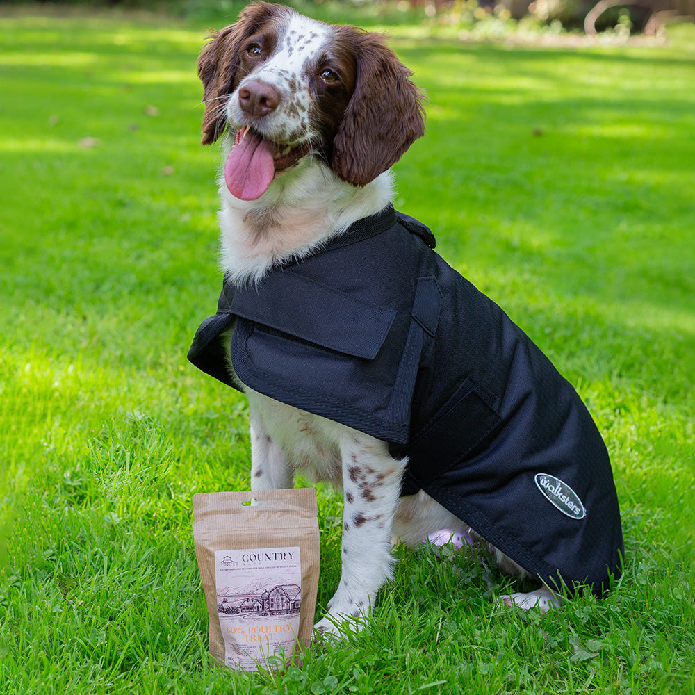 All Seasons Waterproof Dog Coat in Black