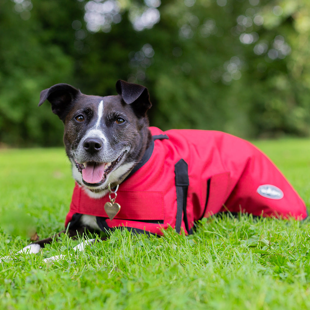 All Seasons Waterproof Dog Coat in Red