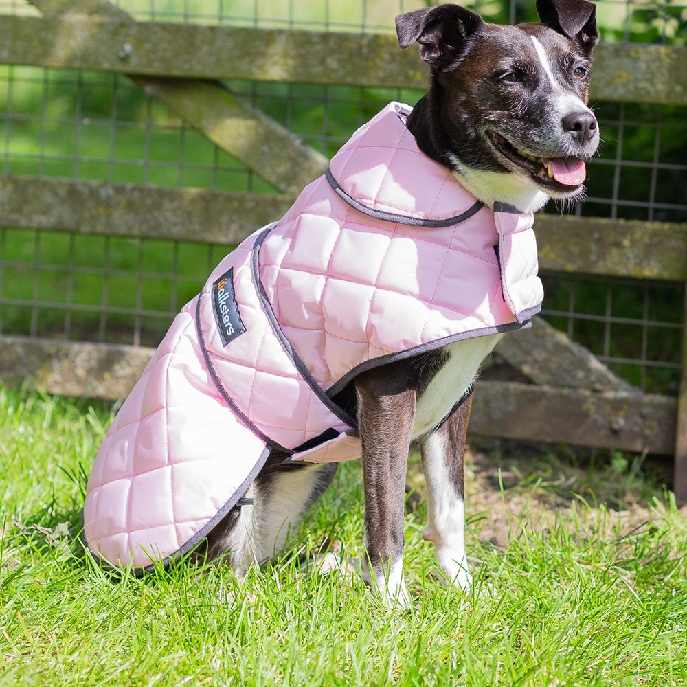 Walksters Premium Quilted Coat in Pink