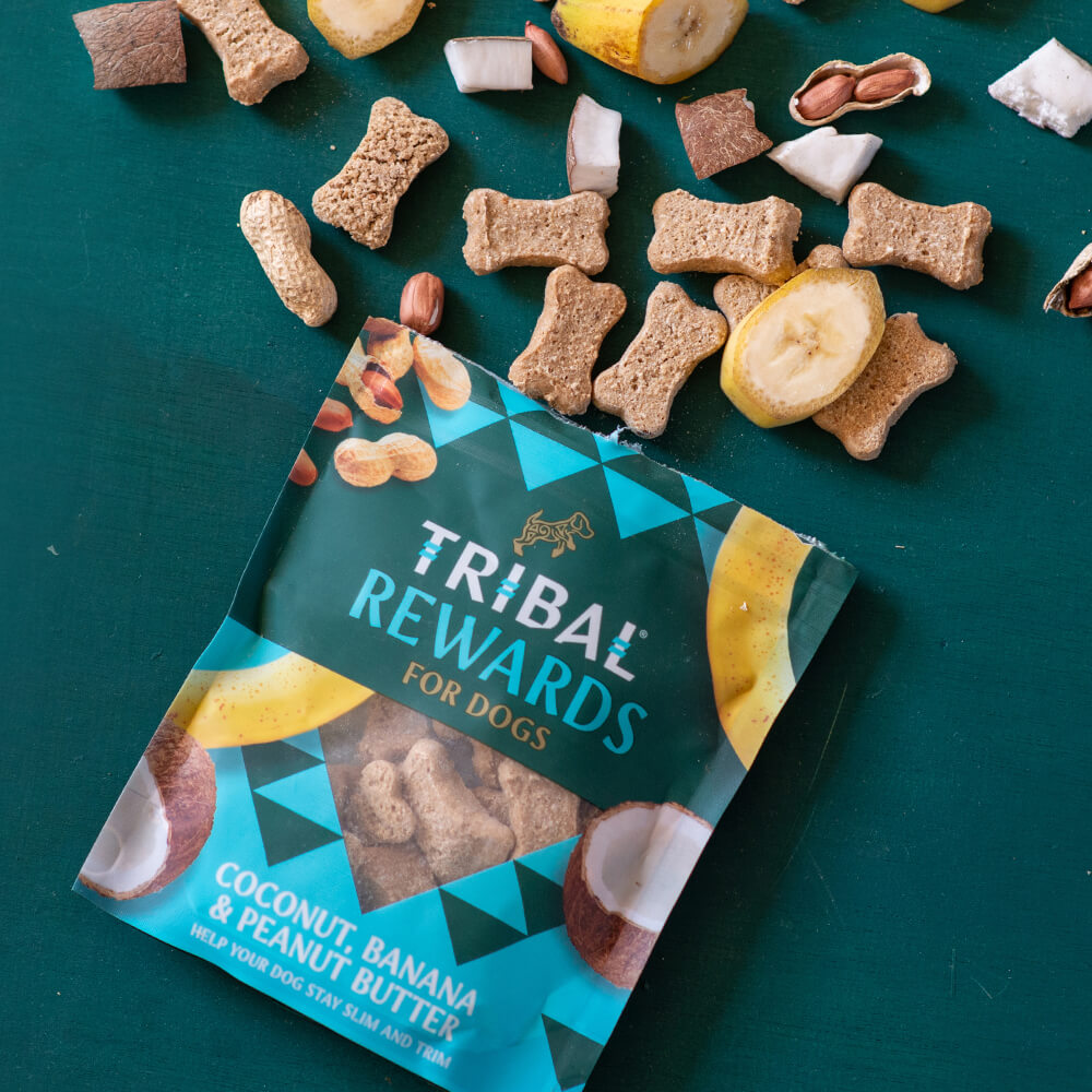 Tribal Rewards Coconut, Banana & Peanut Butter Dog Biscuits