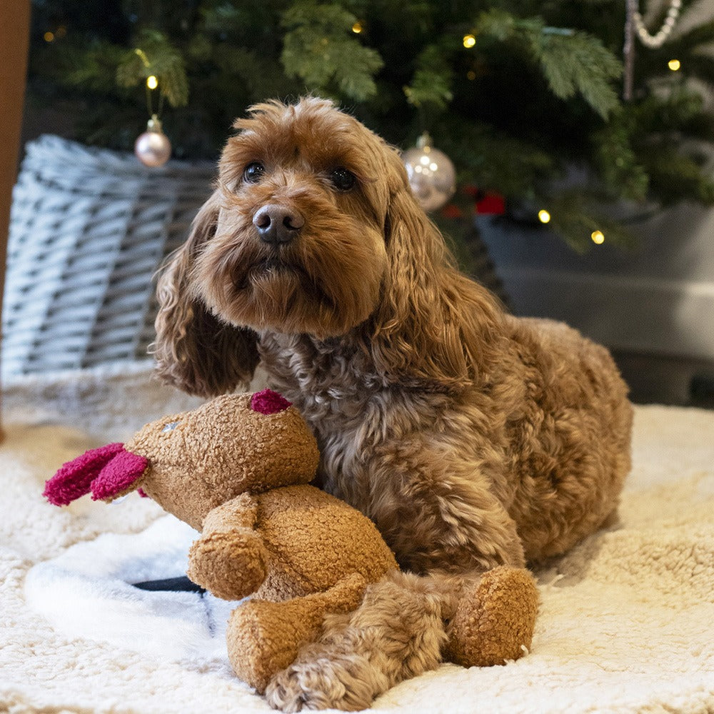 Tufflove Reindeer