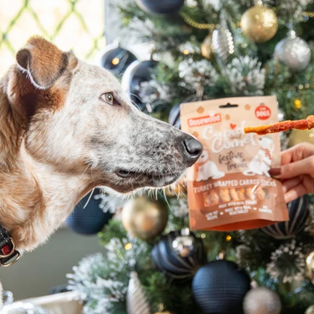 Turkey Wrapped Carrot Sticks Dog Treats 100g