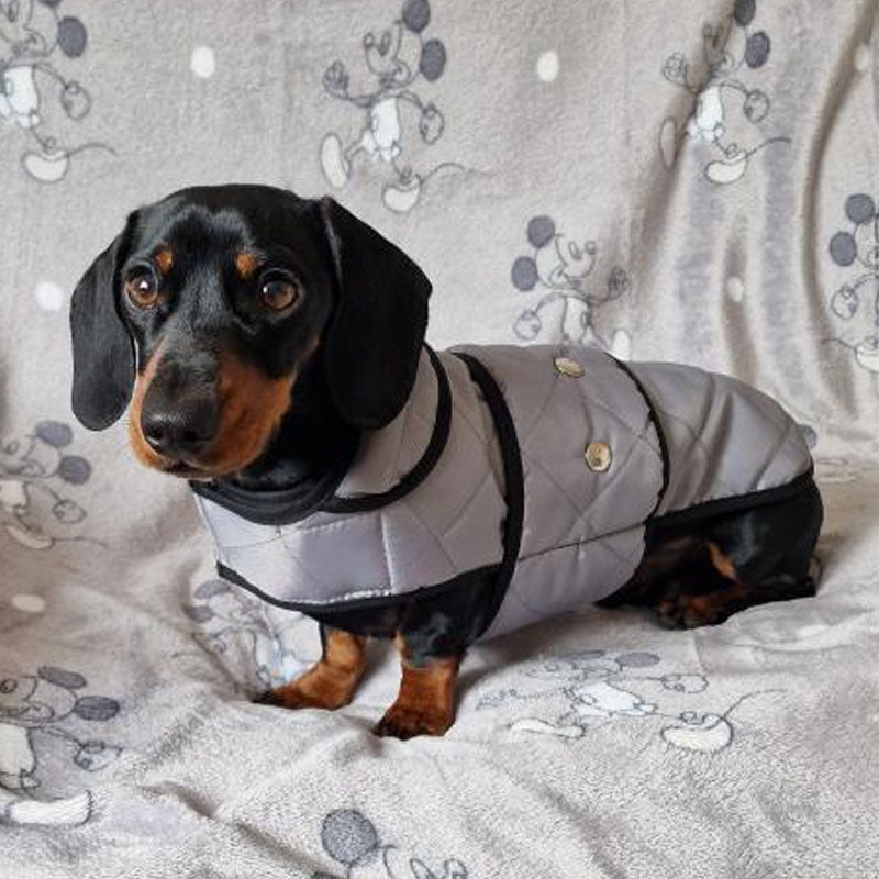 Walksters Dachshund Premium Quilted Coat in Grey