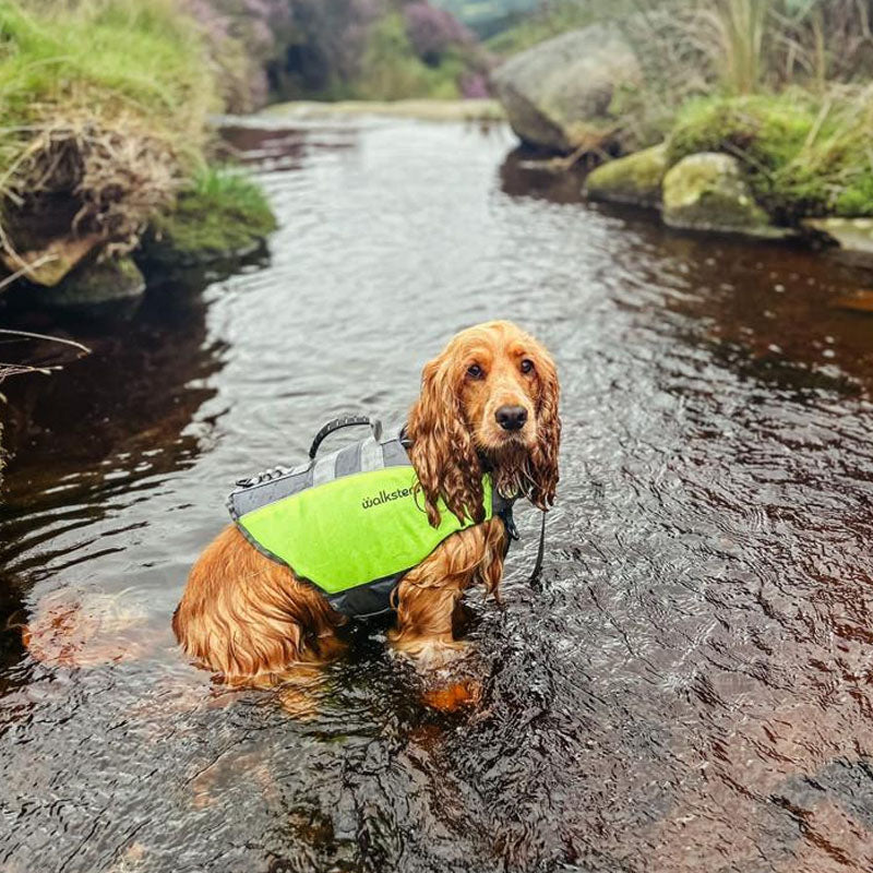 Dog Life Jacket by Walksters