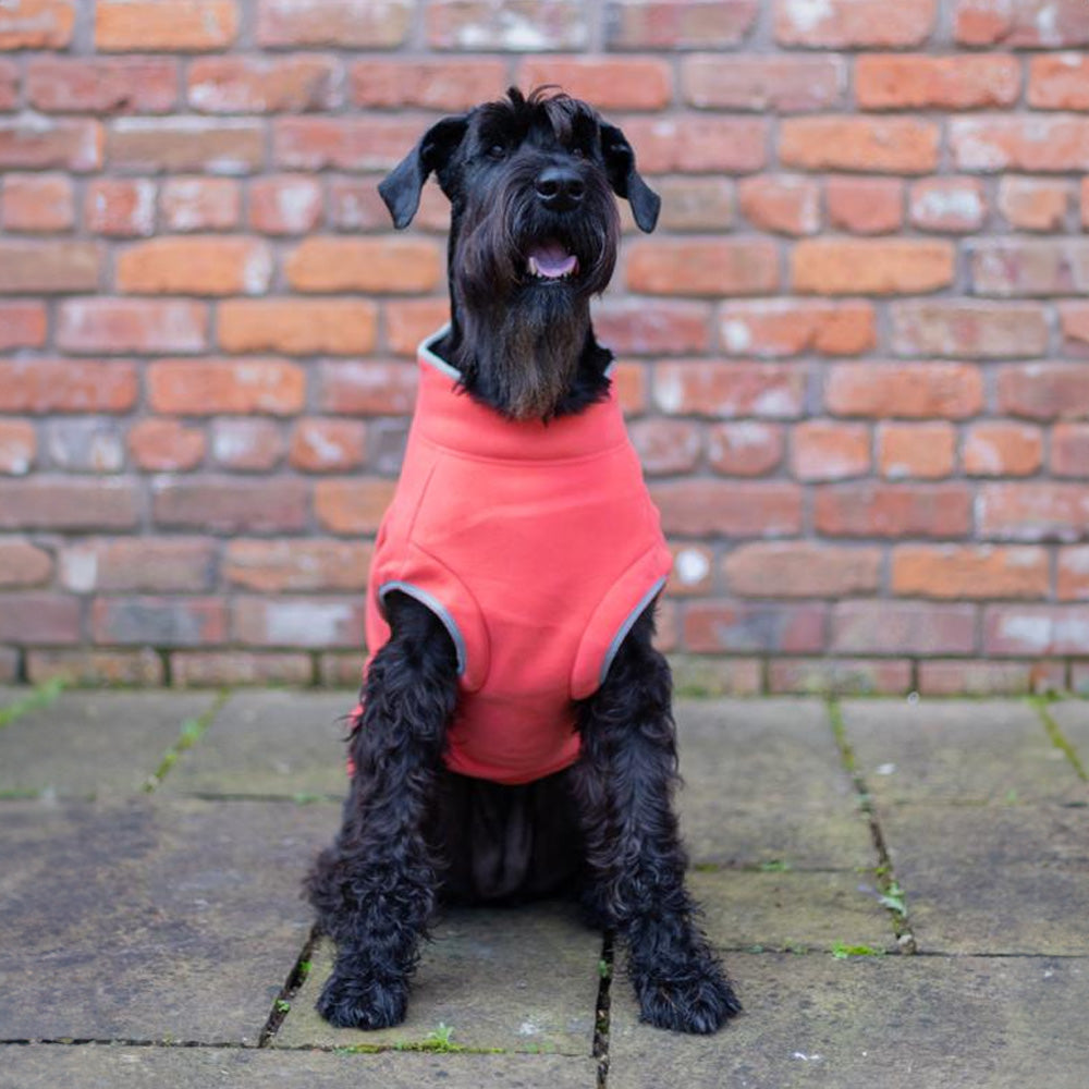 Walksters Dog Fleece Jumper in Soft Orange