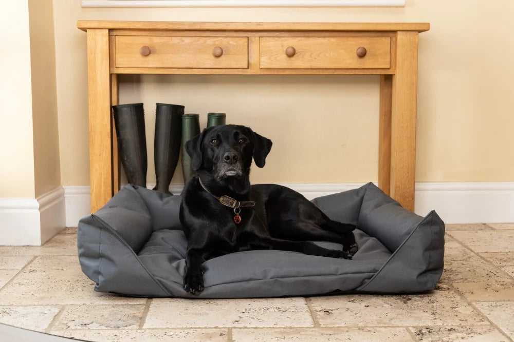 One XL Walksters Waterproof Dog Bed in Grey