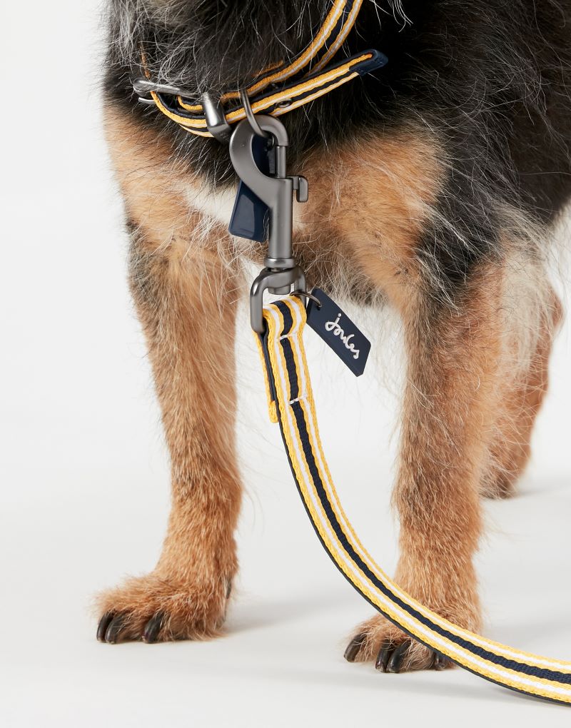 Joules Navy & Yellow Stripe Dog Lead